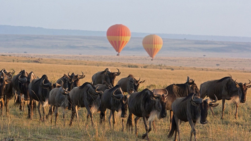Serengeti-Balloon-Safari2